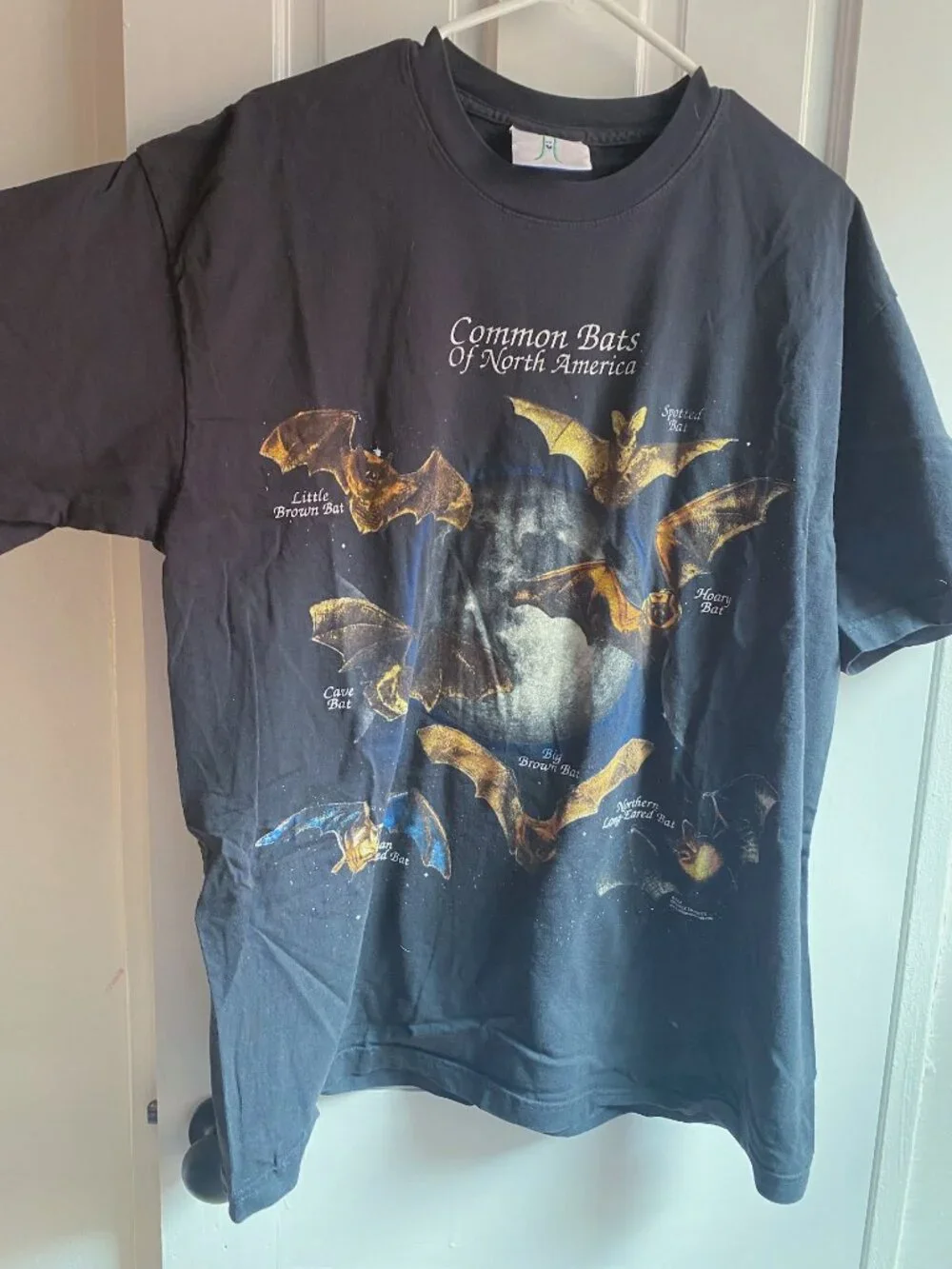 Online Ceramics Common Bats of North America Tee Black T-Shirt Sz L